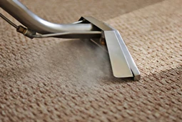 rug1