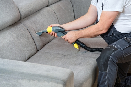 Dry,Cleaner's,Man,Employee,Removing,Dirt,From,Furniture,In,Flat,